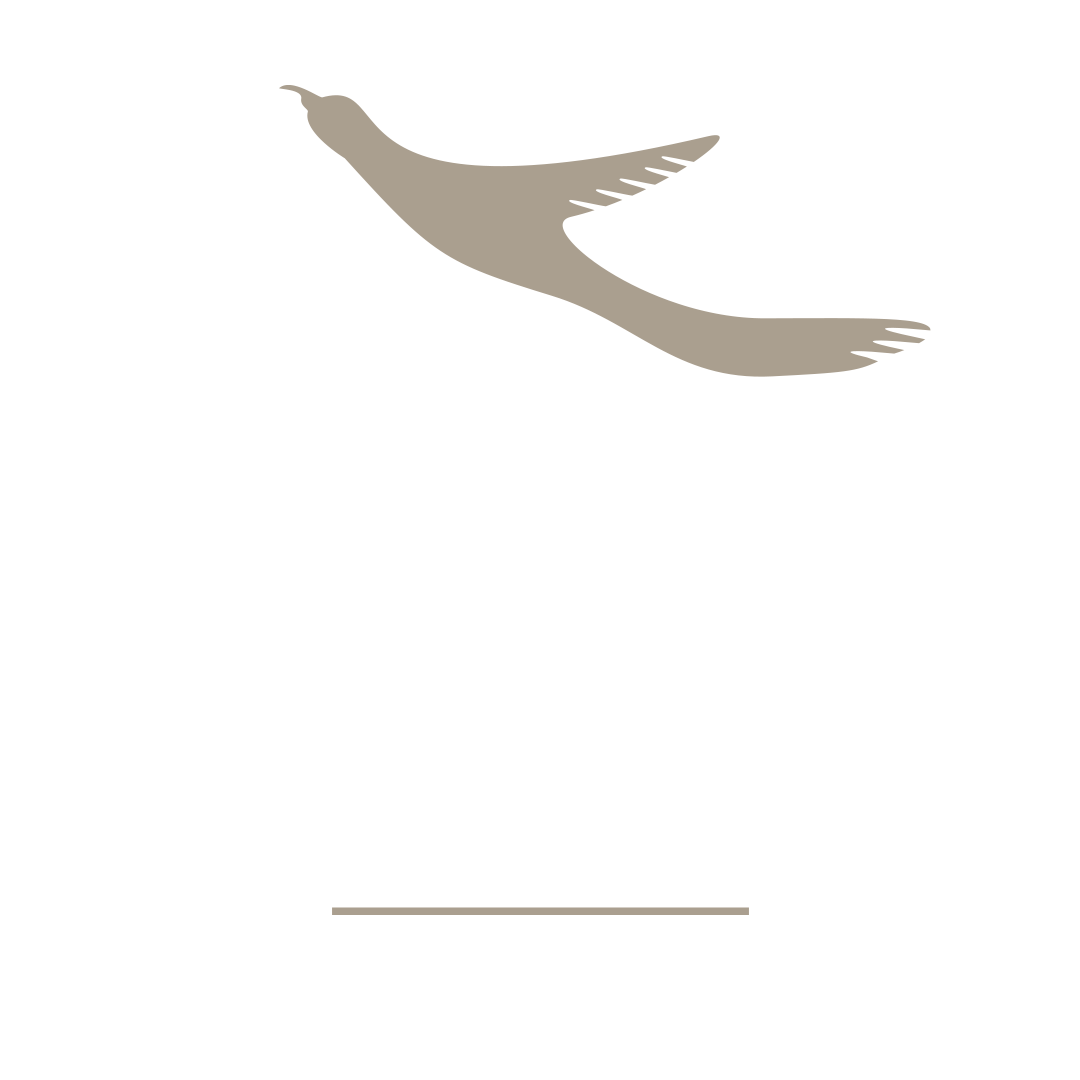 Hermes Galapagos Ultra-Luxury Cruise