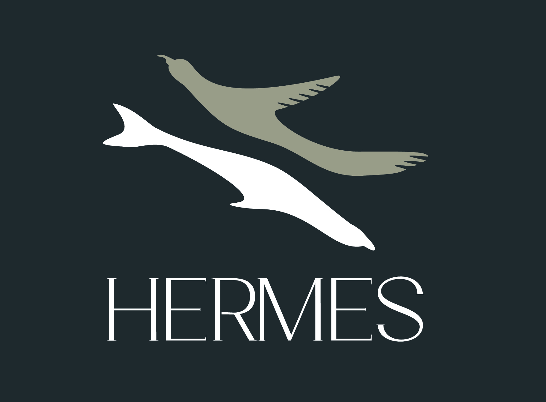 Hermes Galapagos Ultra-Luxury Cruise